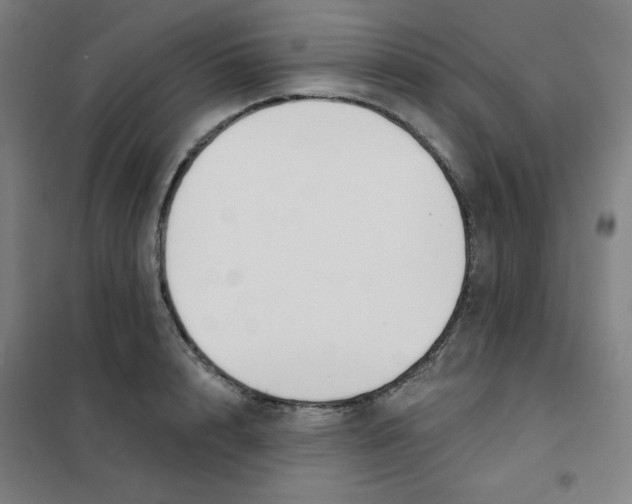 X0000101400848200808041039