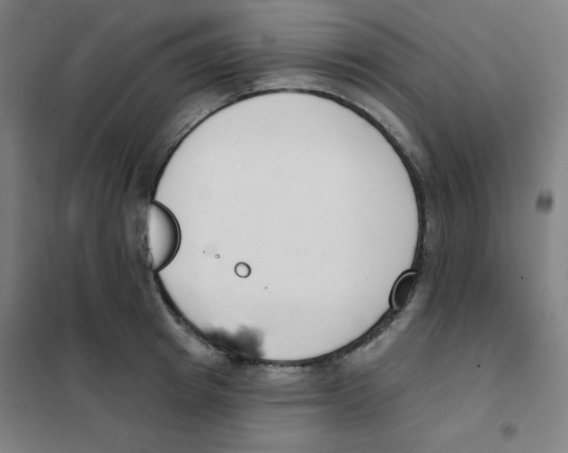 X0000101400849200808041039