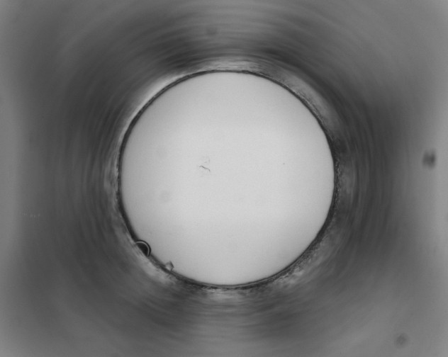 X0000101400852200808041039