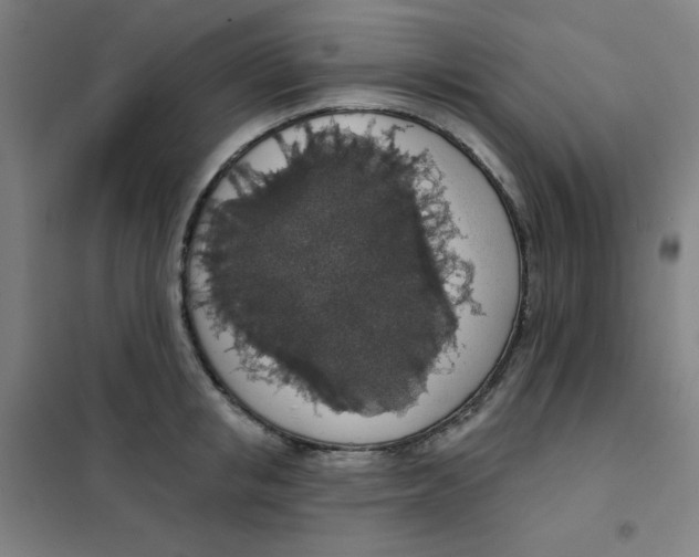 X0000101400853200808041039