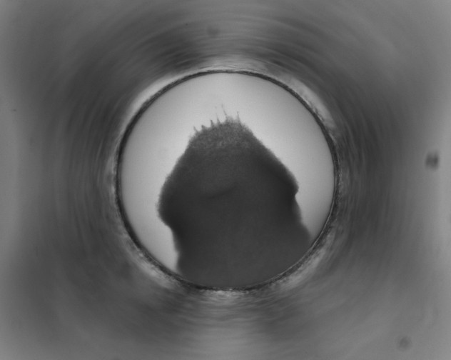 X0000101400854200808041039