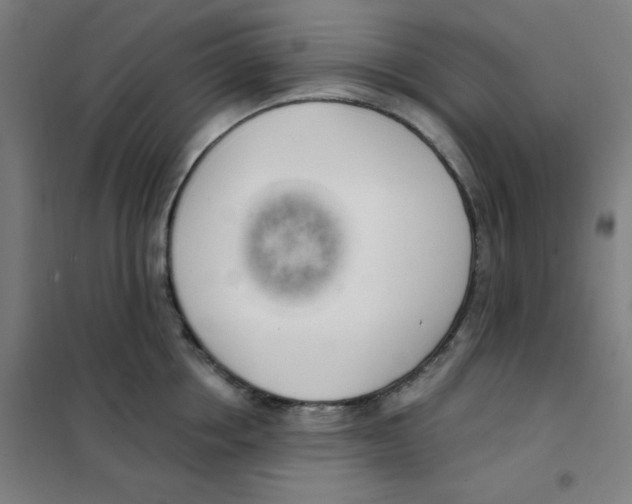 X0000101400858200808041039