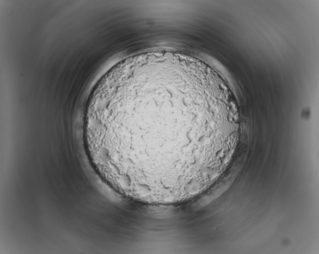 X0000101400859200808041039