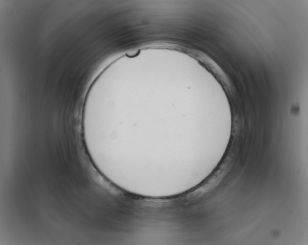 X0000101400860200808041039