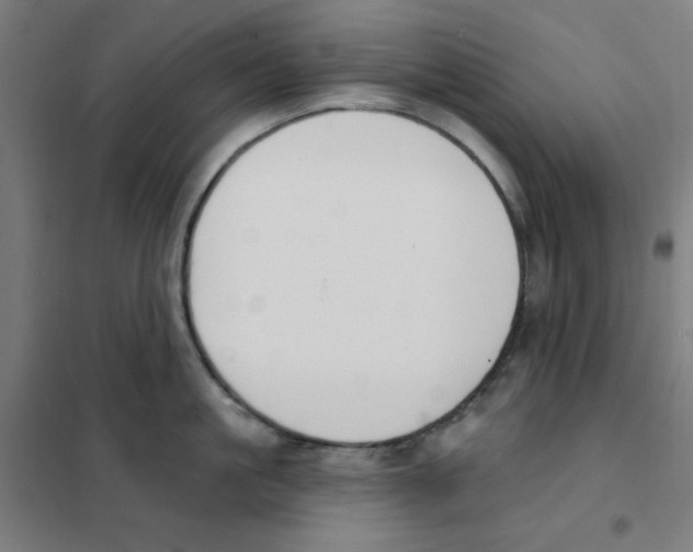 X0000101400861200808041039