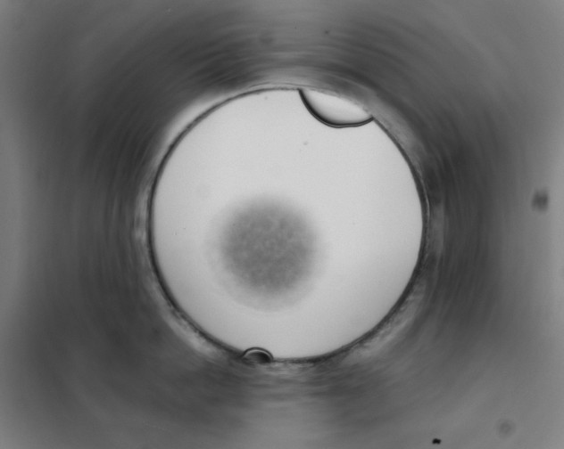 X0000101400862200808041039