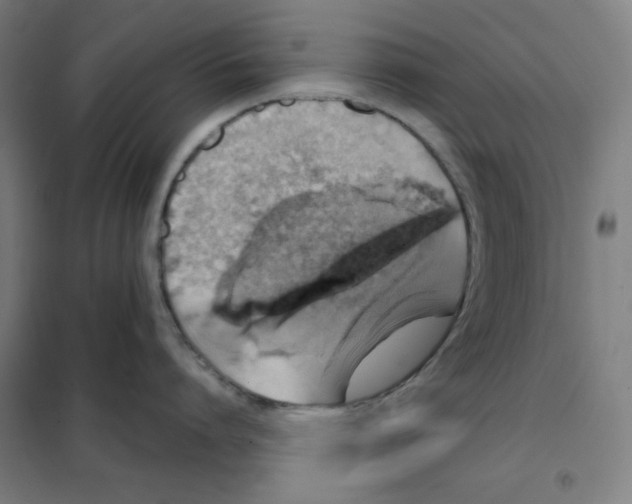 X0000101400864200808041039