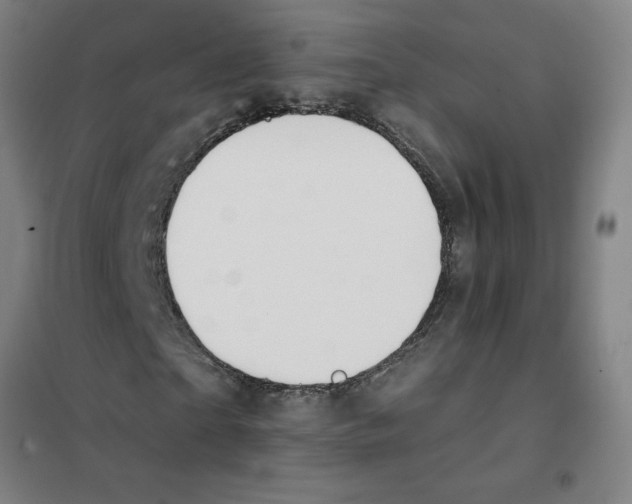 X0000101400865200808041038