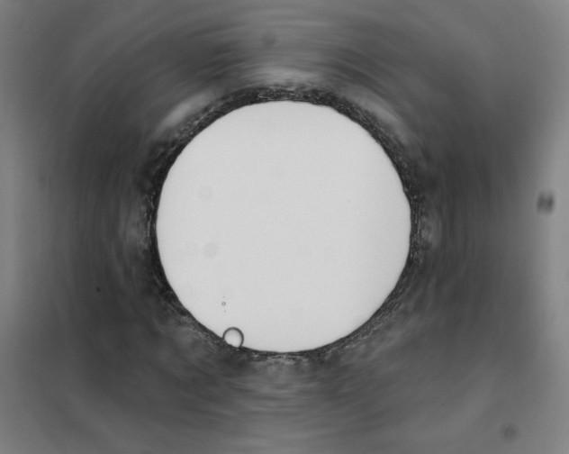 X0000101400869200808041038