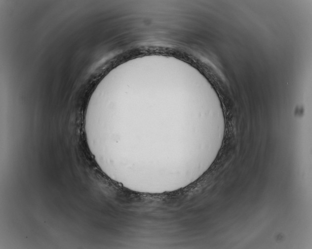 X0000101400870200808041038