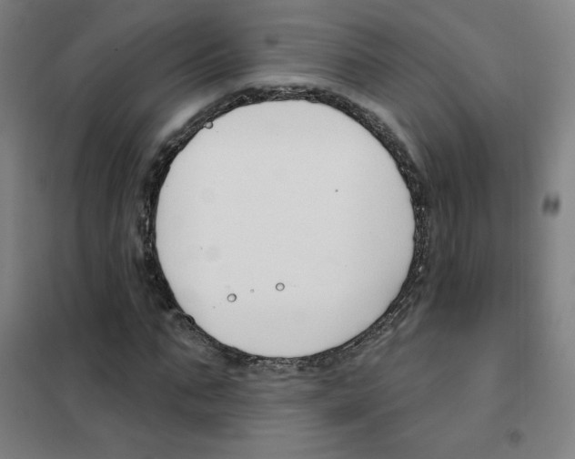 X0000101400871200808041038