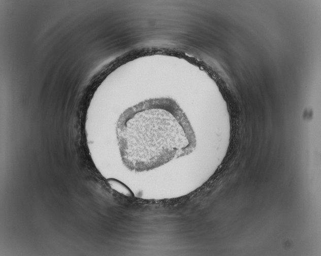 X0000101400872200808041038