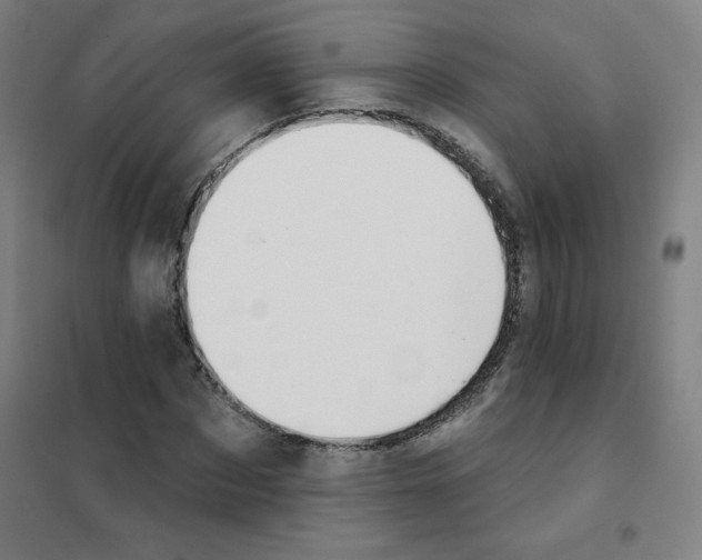 X0000101400873200808041038