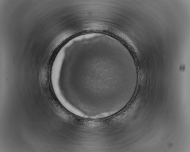 X0000101400874200808041038