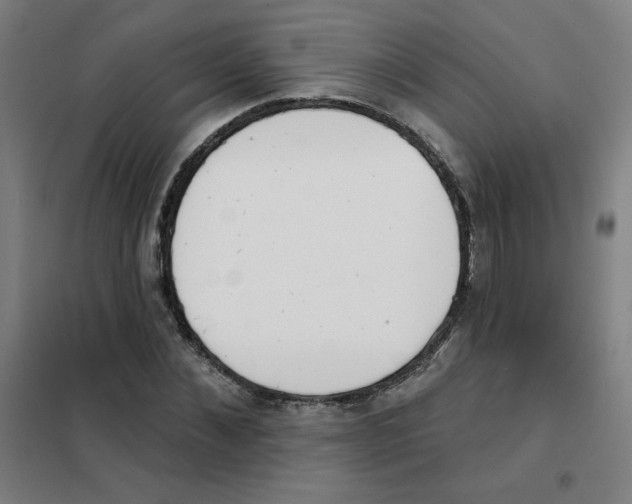 X0000101400876200808041038