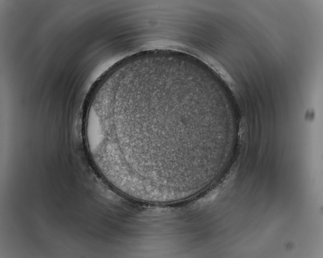 X0000101400877200808041038