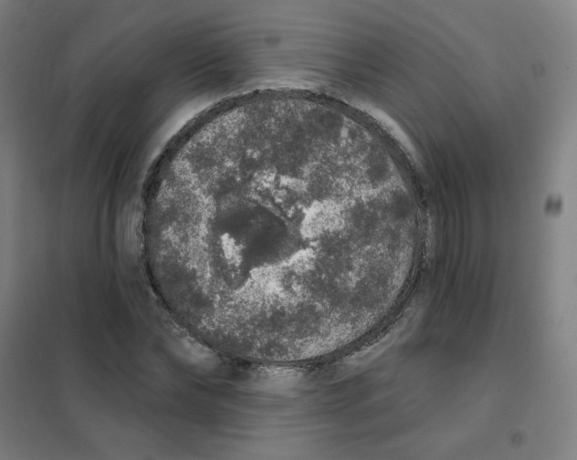 X0000101400878200808041038