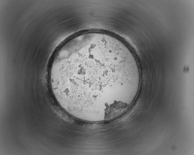 X0000101400879200808041038