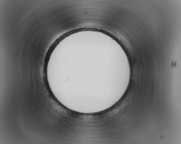 X0000101400880200808041038