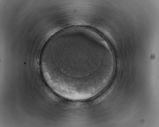 X0000101400881200808041038