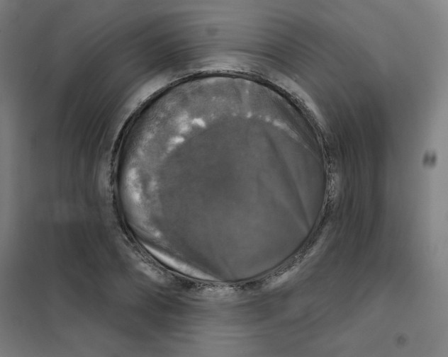 X0000101400882200808041038