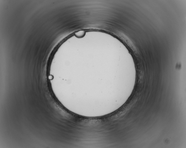 X0000101400884200808041038