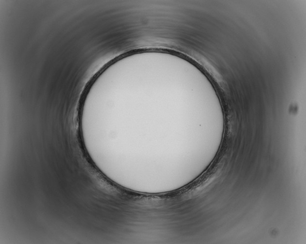 X0000101400885200808041038