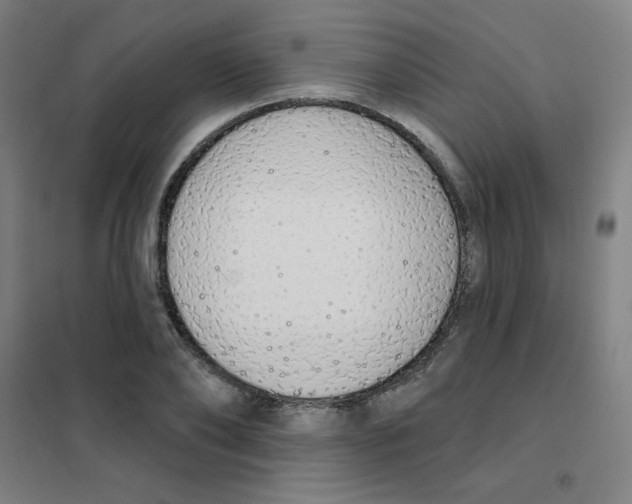 X0000101400886200808041038