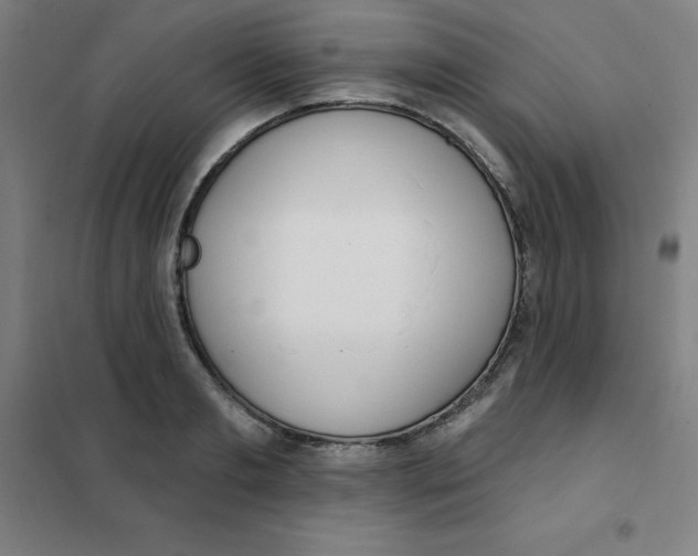 X0000101400893200808041038