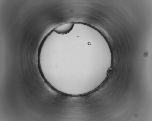 X0000101400894200808041038