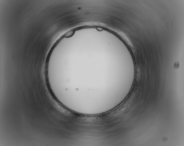 X0000101400895200808041038