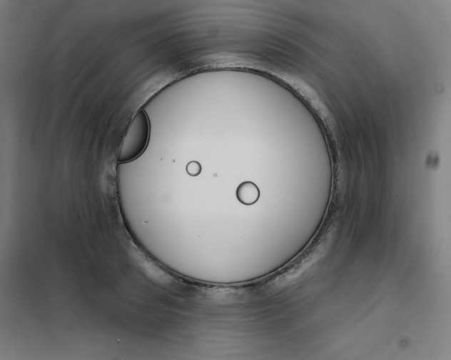 X0000101400897200808041038