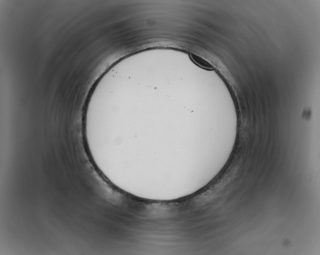 X0000101400898200808041038