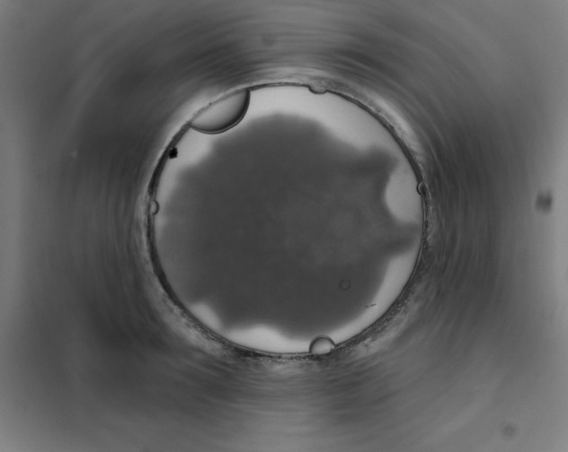 X0000101400899200808041038