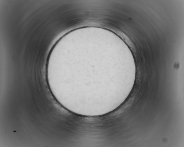 X0000101400904200808041038