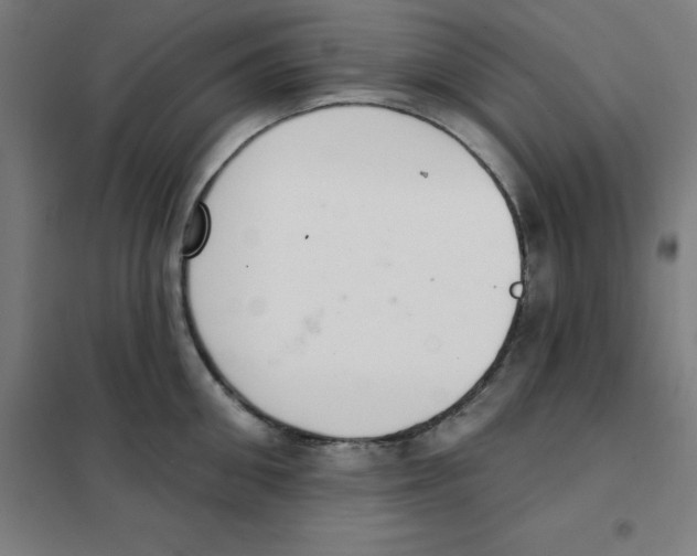 X0000101400906200808041038