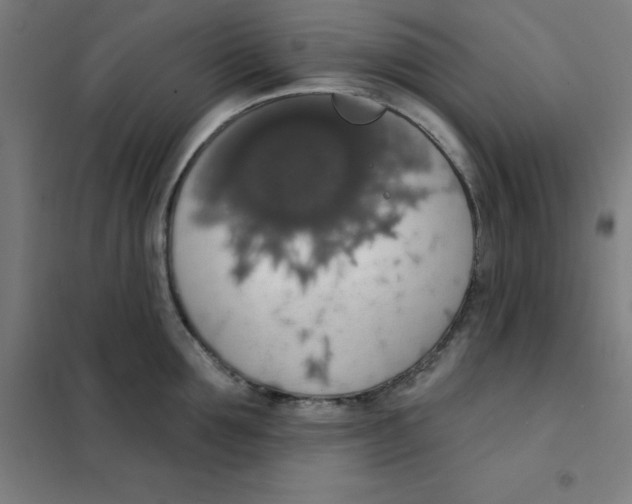 X0000101400907200808041038