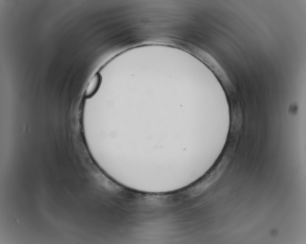 X0000101400908200808041038