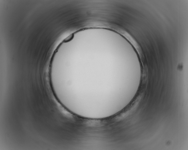 X0000101400909200808041038