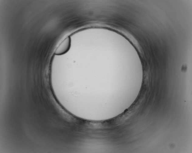 X0000101400911200808041038