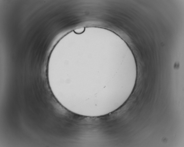 X0000101400912200808041038