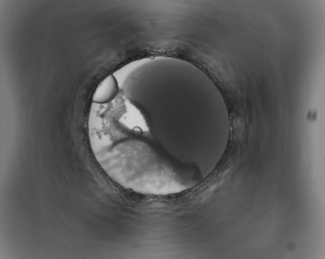 X0000101400913200808041037