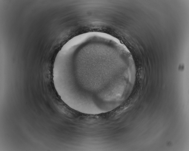 X0000101400916200808041037