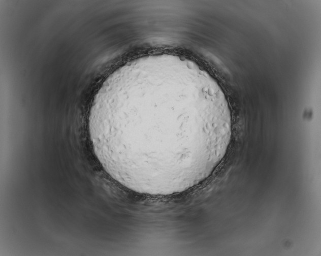 X0000101400917200808041037