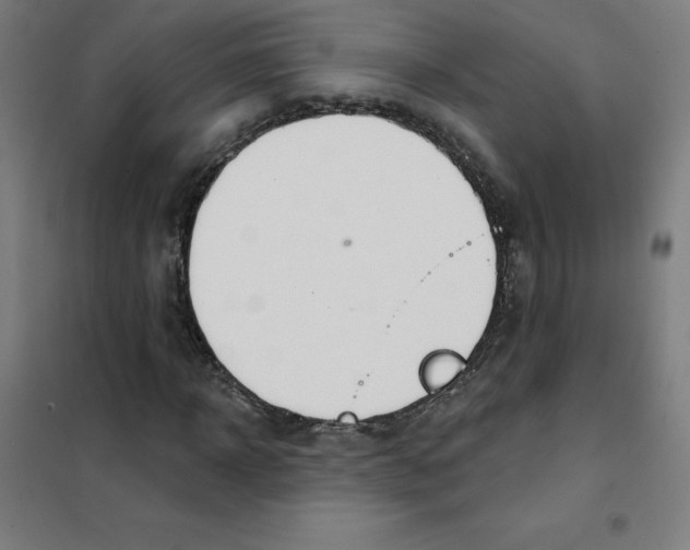 X0000101400918200808041037