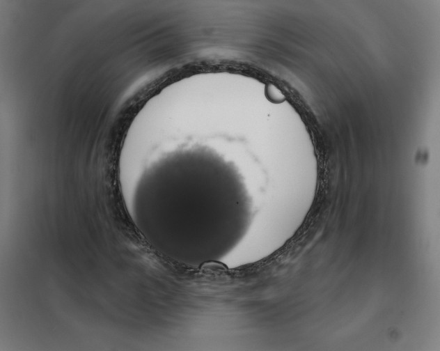 X0000101400919200808041037