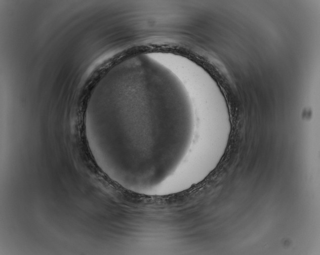 X0000101400920200808041037