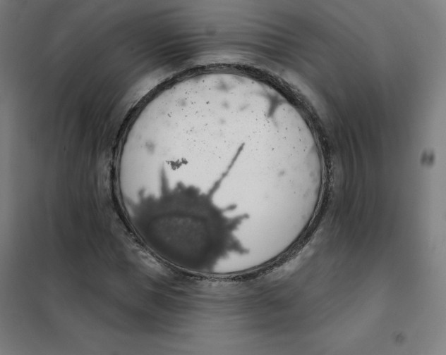 X0000101400921200808041037