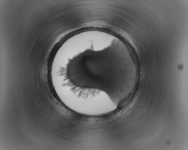 X0000101400923200808041037