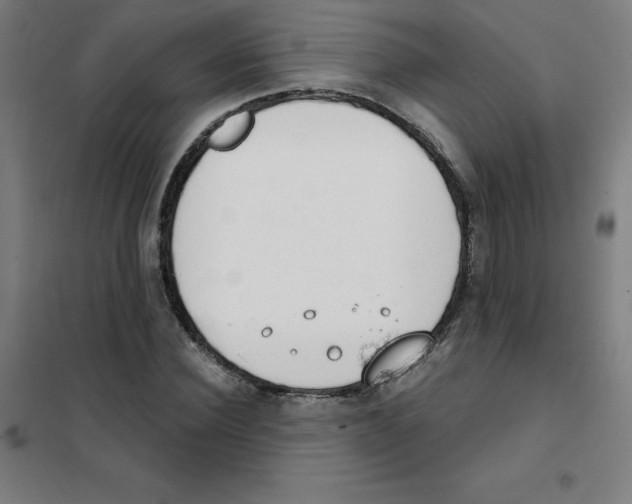 X0000101400924200808041037